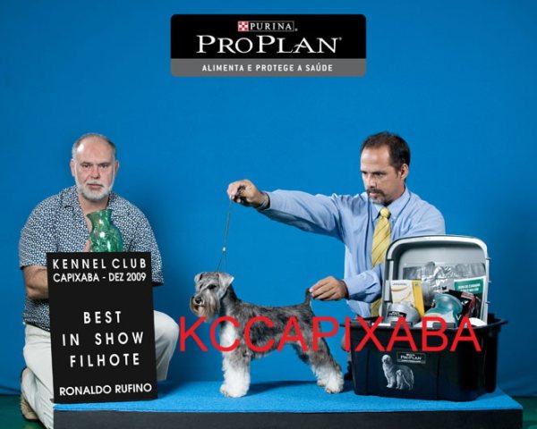 Clique sobre a foto para fechar